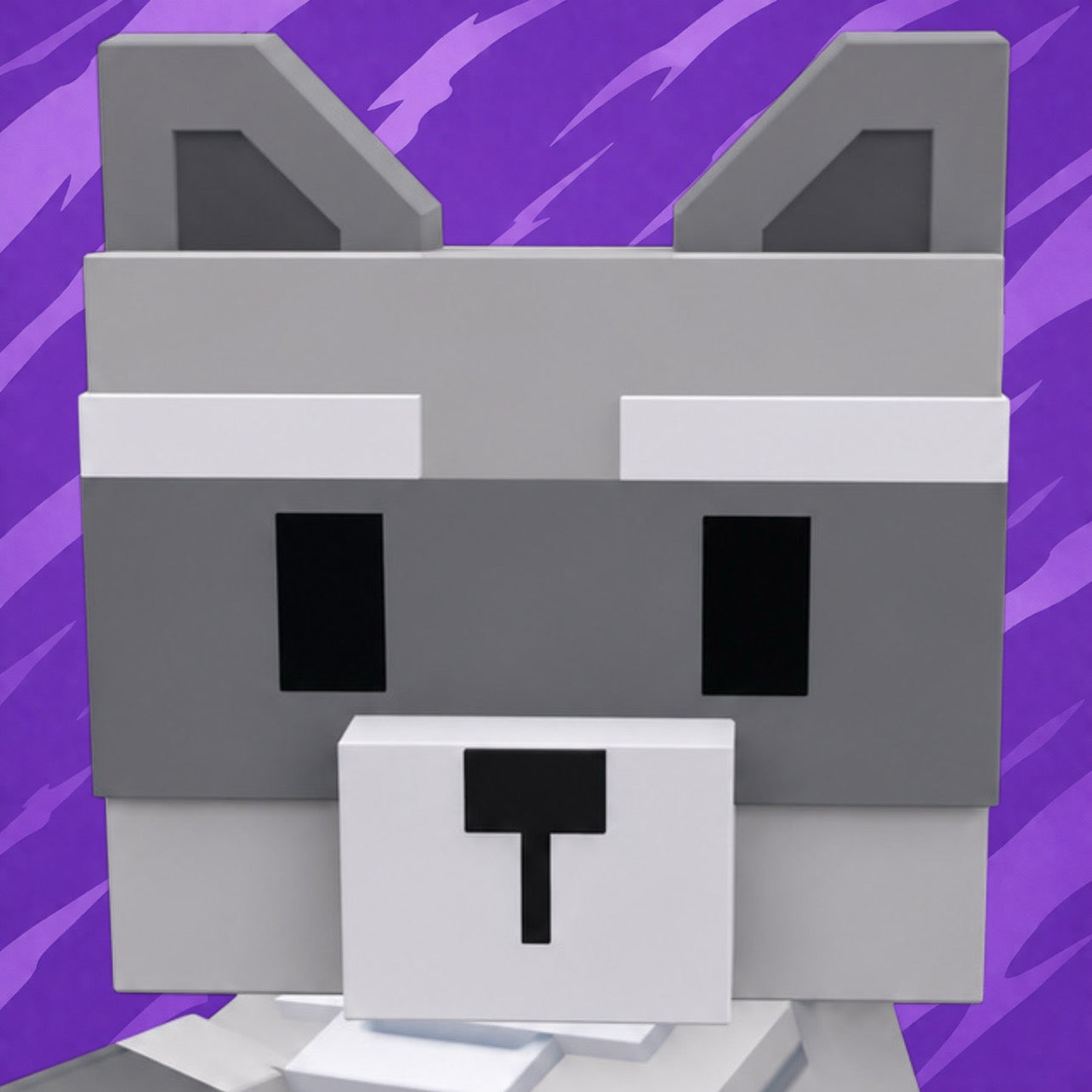 Raccoon
